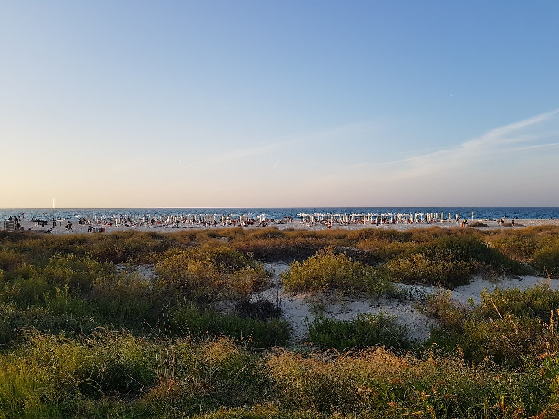 Saadiyat Island was the destination on one of my Abu Dhabi drives; the toll charge arrived later, which was the surprise.